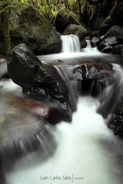 Fotografía: Juan Carlos Salas