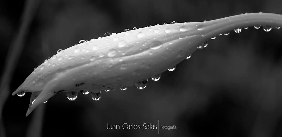 Fotografía: Juan Carlos Salas