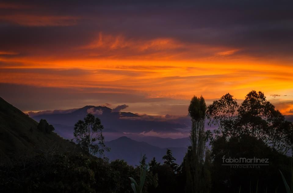 Fotografía: Fabio Martínez