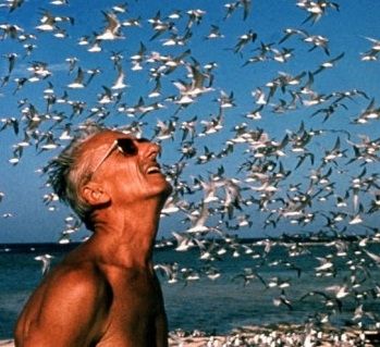 Documentales para promover la defensa ambiental