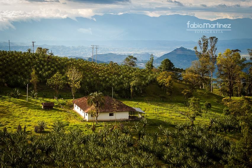 Fotografía: Fabio Martínez