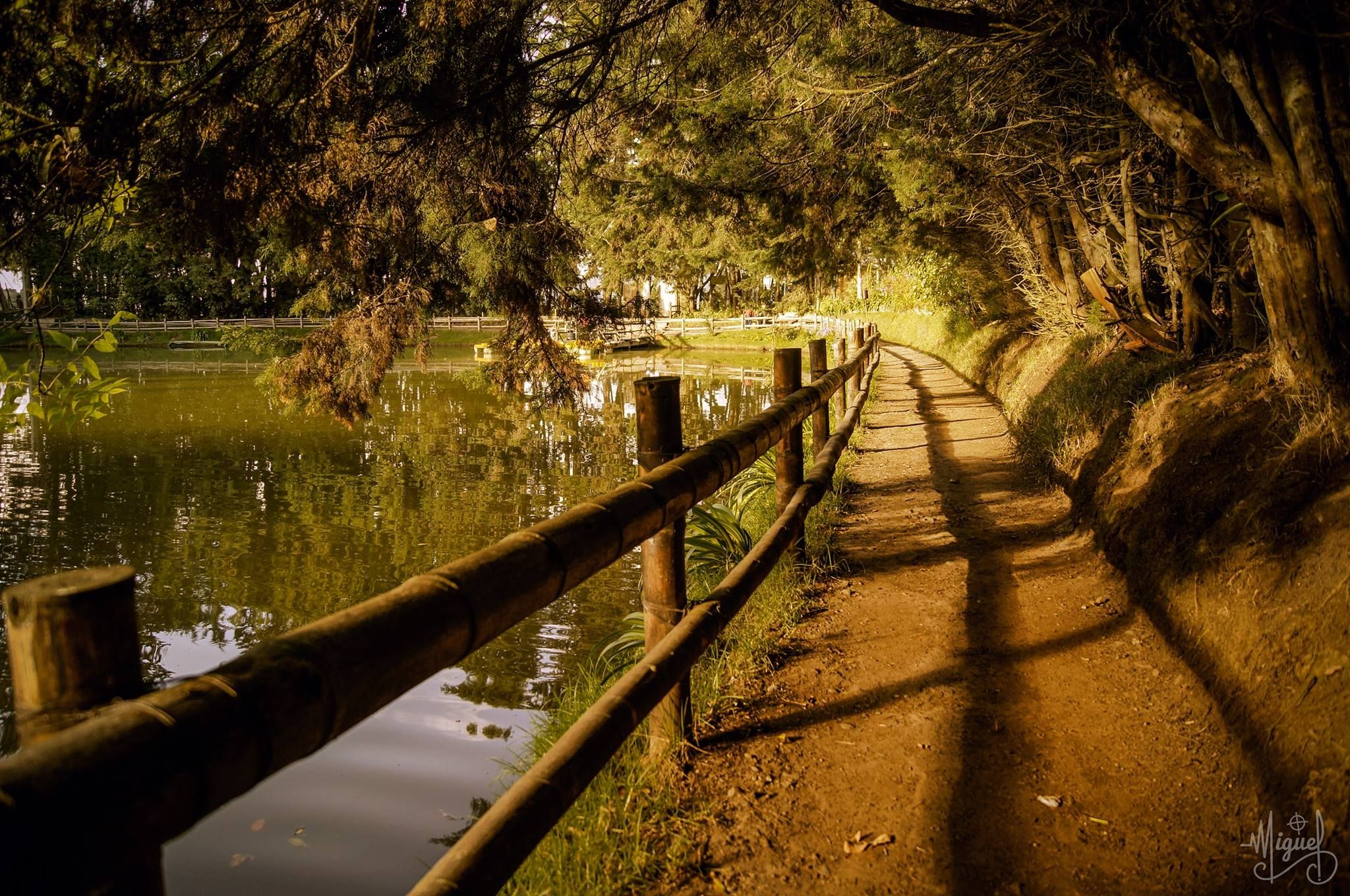 Fotografía: Miguel López