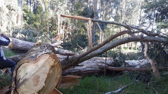 Iniciarán proceso de mejoramiento en barrio el Bosque