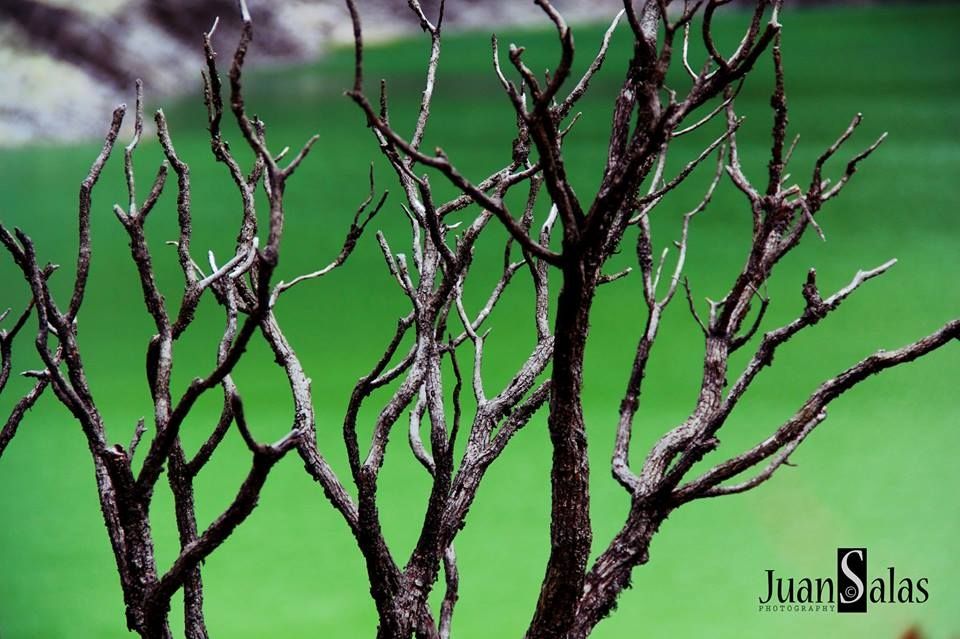 Fotografía: Juan Carlos Salas