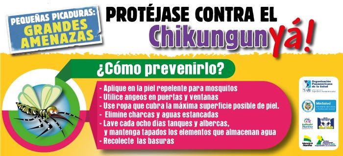 Nariño toma medidas contra el Chinkungunya