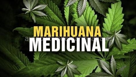 Colombia dio un paso mu00e1s en procura de la legalizaciu00f3n del uso de la marihuana con fines terapu00e9iticos.