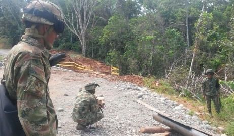 Cuatro artefactos explosivos fueron desactivados por el Eju00e9rcito en Puerto Asu00eds.
