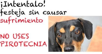 La utilizaciu00f3n irresponsable de pu00f3lvora es tambiu00e9n un atentado contra los animales domu00e9sticos.