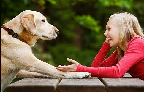 Hace rato que la relaciu00f3n de gran parte de los seres humanos con los animales deju00f3 de ser amistosa. Hace rato que la relaciu00f3n de gran parte de los seres humanos con los animales deju00f3 de ser amistosa.