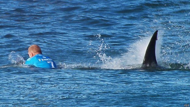 El australiano Mick Fanning fue atacado por un tiburón en pleno torneo de surf