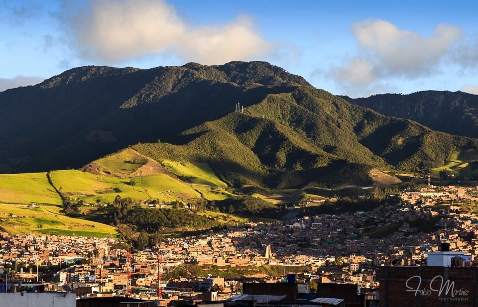 Pasto sin agua