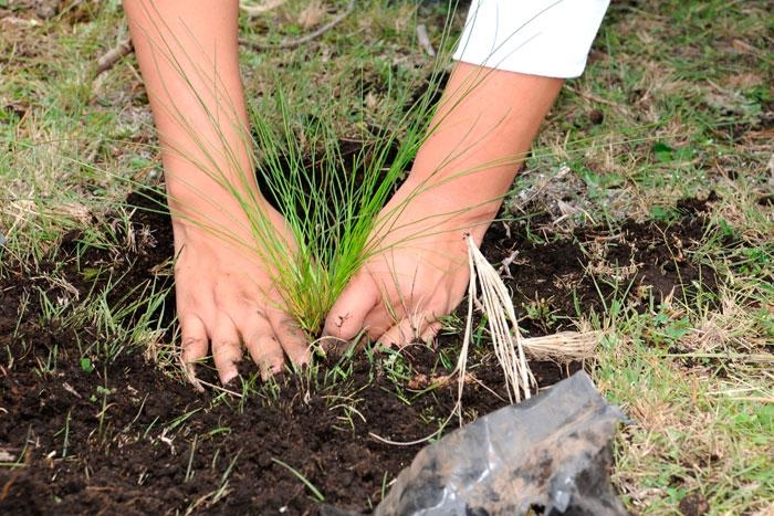 Corponariño y alcaldes del departamento implementan proyectos de restauración y prevención ecológica