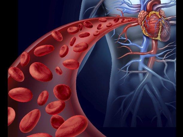 El vehículo más importante de la vida
