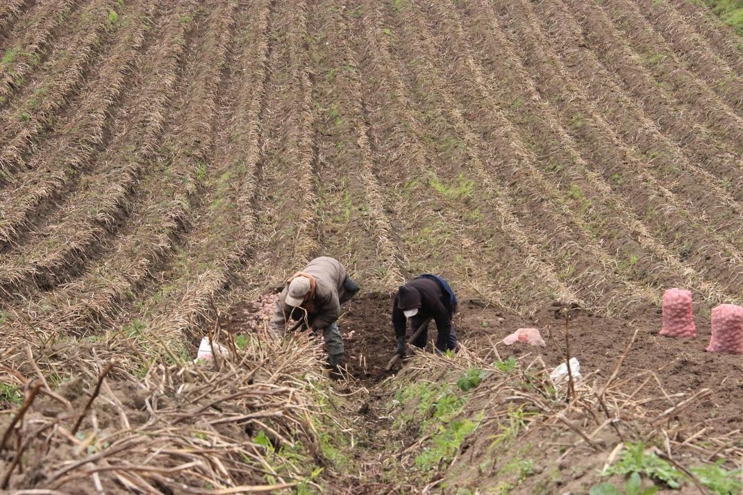 Nariño firma convenio para ordenar la producción agropecuaria