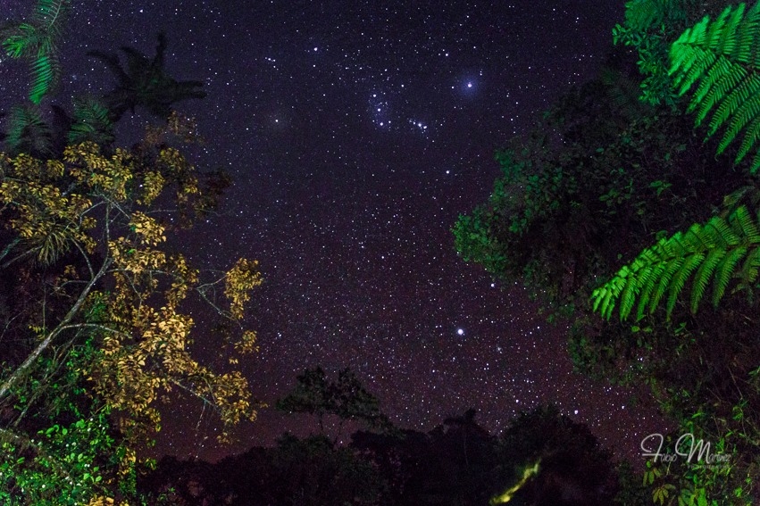 Fotografía: Fabio Martínez