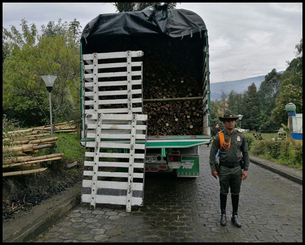 Incautan guaduas en la vía Pasto-Ipiales