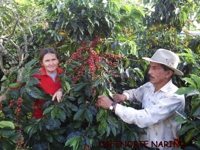 Secretaría de Agricultura y Desarrollo Rural, presentará informe del primer trimestre 2017