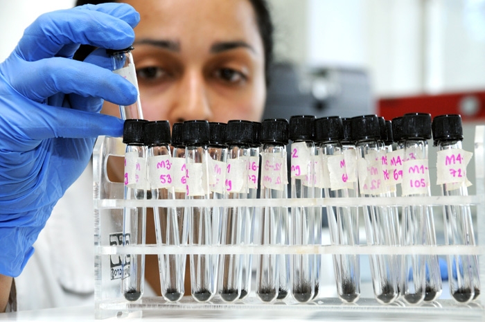 Se gobierna en contra de la ciencia