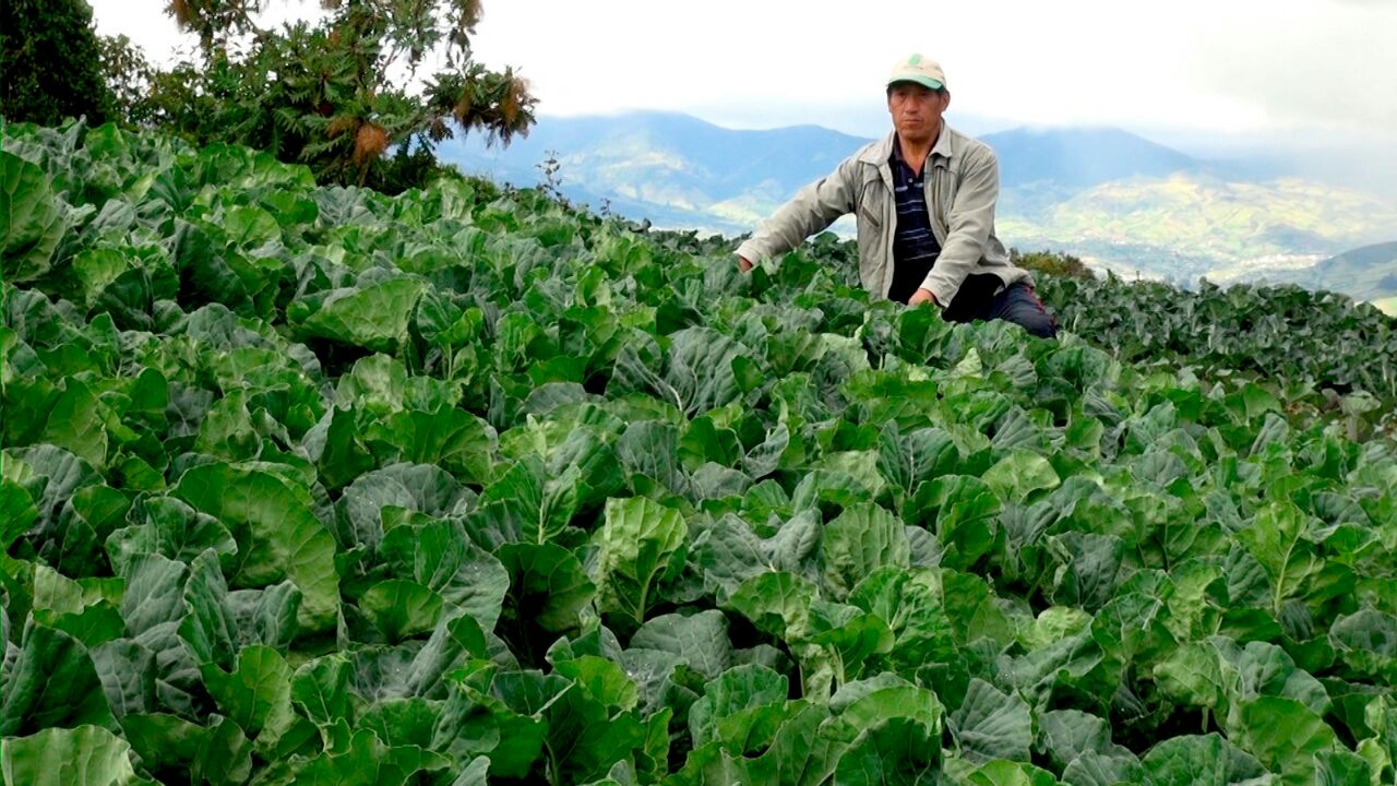 Gobernación solicitó al Gobierno Nacional cumplir acuerdos con el sector agropecuario