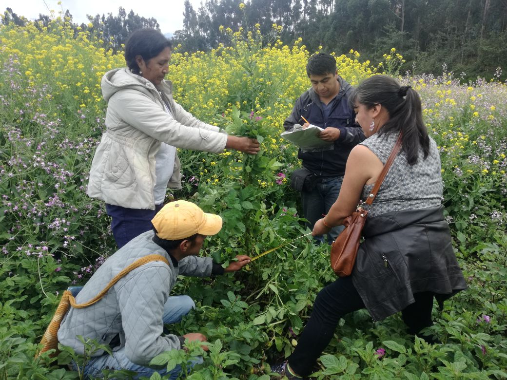 Agricultores nariñenses realizan taller sobre papa, apoyados por la Gobernación de Nariño