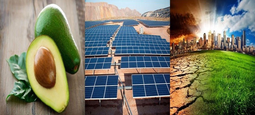 Aguacates, energía solar y calentamiento global