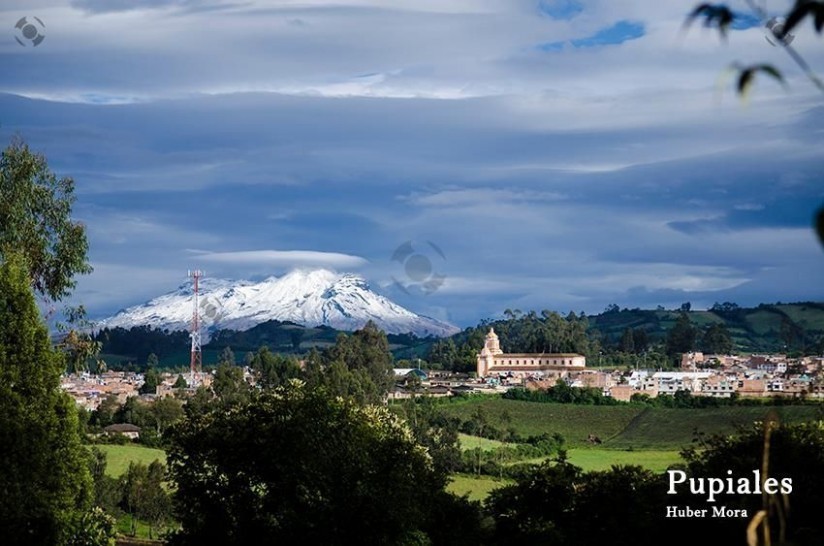 Pastusos tontos