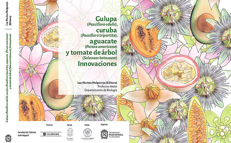 Gulupa y otras frutas exóticas se pueden mejorar para exportación