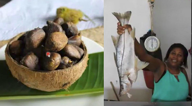 Formulan el plan Alimentario y Nutricional Indígena y Afro del municipio de Tumaco
