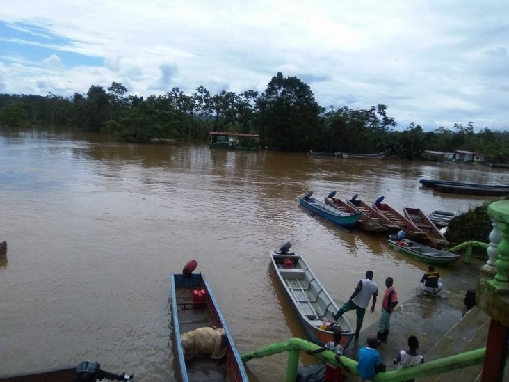 No cesa el conflicto: Gobernador de Nariño solicita ayuda para atender crisis en Roberto Payán