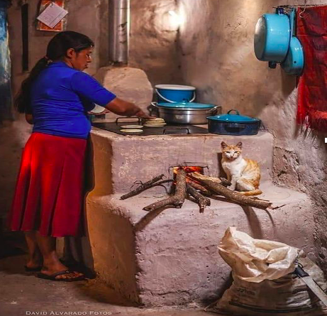 Mujeres, universidad, casa y cocina.