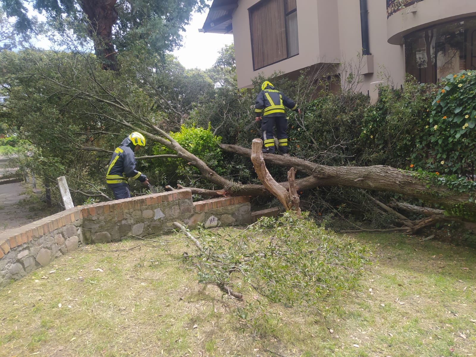 Los fuertes vientos en la ciudad de Pasto han causado emergencias