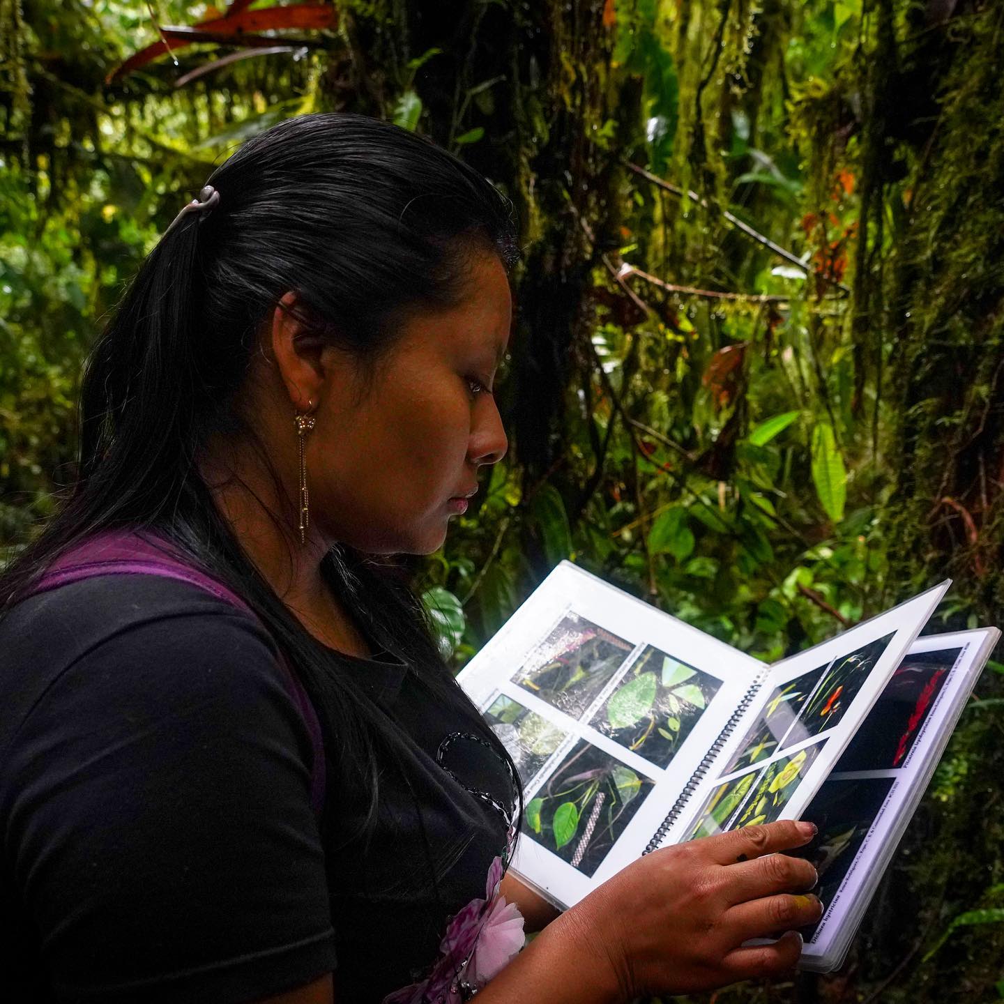 Nariño alberga uno de los lugares más biodiversos de Colombia