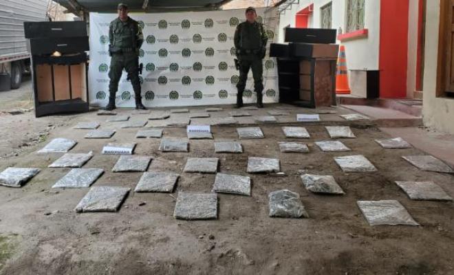 Descubren caleta de marihuana en Sapuyes