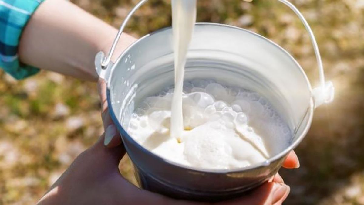 Alquería suspenderá la compra de leche en Nariño gradualmente