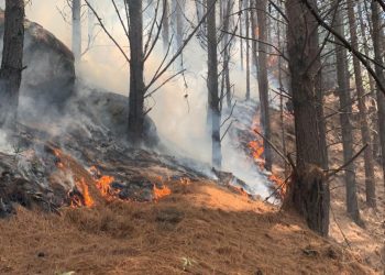 Se declaró ‘Desastre Nacional’ en Colombia por Incendios y fenómeno de El Niño