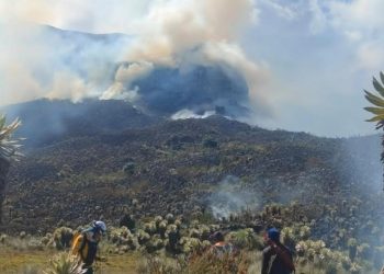 Más de 15 hectáreas fueron arrasadas por incendios en Nariño