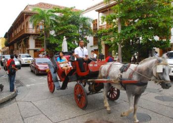 Sustituirán a caballos en Cartagena para transporte turístico