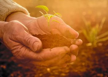 Programa de agricultura beneficiará a 13.000 mujeres campesinas en Nariño