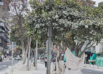 Activistas ambientales lideran campaña por un carnaval de Pasto sin talco