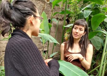 ‘Sala Mínima’ ofrece nueva agenda cultural que promueve la diversidad artística en Pasto
