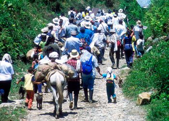 Nariño fue el departamento con mayor número de personas desplazadas en 2023