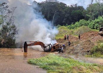 Grupos armados ilegales deforestaron 12 hectáreas de bosques para minería ilegal en Nariño