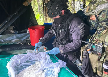 Destruyen megalaboratorio de cocaína del ELN en Cumbal (Nariño)