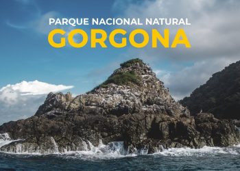 Gobierno anunció proyecto militar en un parque nacional natural: Isla Gorgona
