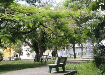 Contribución al plan de desarrollo departamental de Nariño