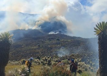 Incendios Forestales en Nariño De las causas climáticas a las causas humanas y de planificación