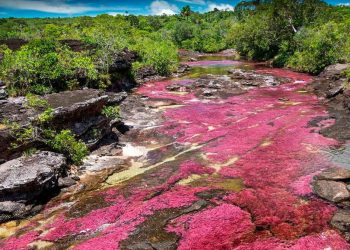 Colombia ganó la demanda contra empresa que buscaba perforar en Caño Cristales