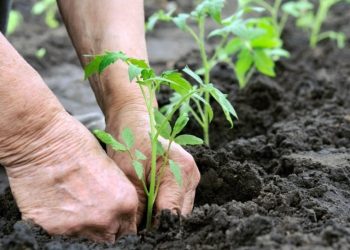 Consejo de Planeación dio recomendaciones sobre Sector Ecológico en el Plan de Desarrollo de Nariño