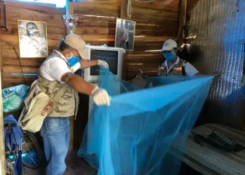 Hay incremento de casos de dengue en Nariño
