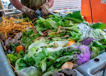 Alertan escasez de alimentos en comunidades de Nariño